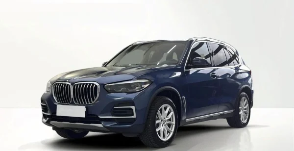 BMW  X5 xDrive25d aut