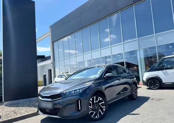 Kia  XCeed 1.6 GDI PHEV Business Line DCT