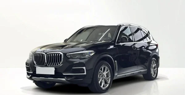 BMW  X5 xDrive25d sport-aut