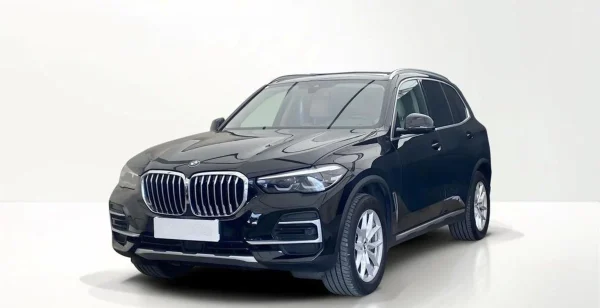 BMW  X5 xDrive25d sport-aut
