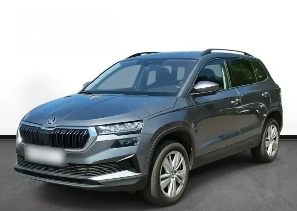 Skoda Karoq 1.5 TSI ACT Selection DSG 2024 - used car for lease