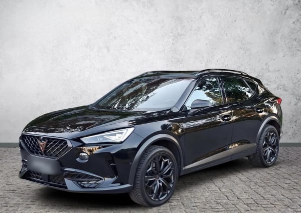 Cupra Formentor 2.0 TSI 4Drive VZ Tribe Edition DSG 2024 - gebrauchtes Leasingfahrzeug