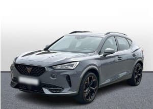 Cupra  Formentor 2.0 TSI 4Drive VZ DSG