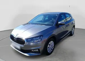 Skoda  Fabia 1.0 TSI Selection DSG
