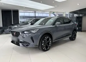 Cupra  Formentor 2.0 TSI 4Drive DSG