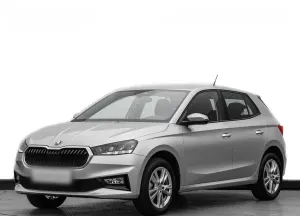 Skoda  Fabia 1.0 TSI Selection