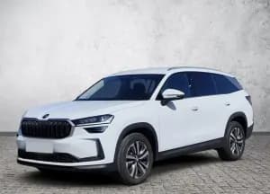 Skoda  Kodiaq 2.0 TDI 4x4 Selection DSG