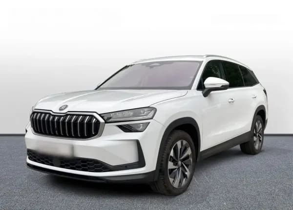 Skoda Kodiaq 2.0 TDI 4x4 Selection DSG 2024 - używany samochód w leasingu