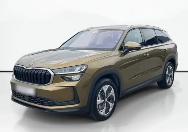 Skoda Kodiaq 2.0 TDI 4x4 Selection DSG 2024 - używany samochód w leasingu