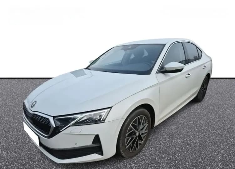 Skoda Octavia Octavia 2.0 TDI Selection DCT