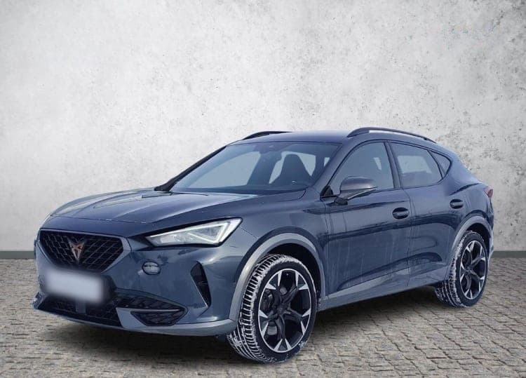 Cupra Formentor Formentor 2.0 TSI 4Drive VZ DSG