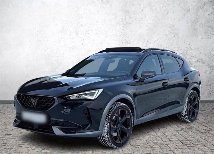 Cupra Formentor Formentor 2.0 TSI 4Drive VZ DSG