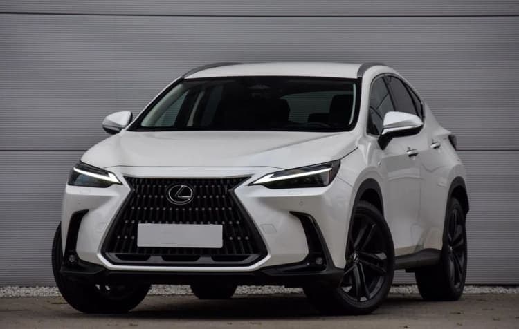 Lexus NX NX 350h Business AWD