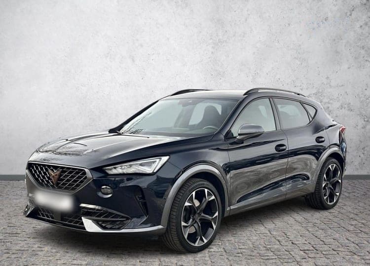 Cupra Formentor Formentor 2.0 TSI 4Drive DSG