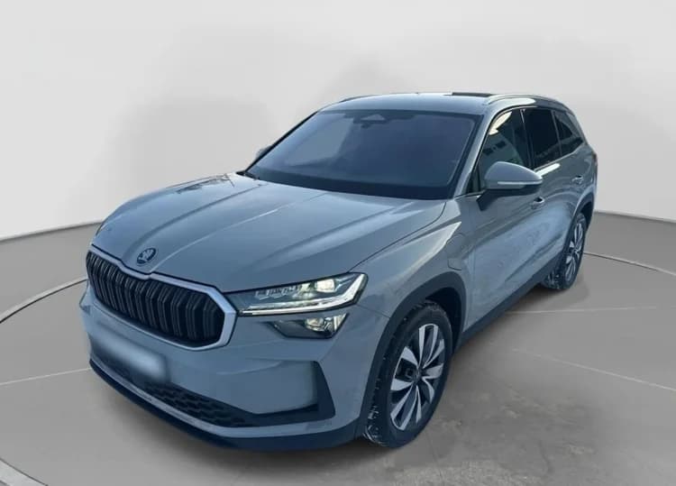 Skoda Kodiaq Kodiaq 2.0 TSI mHEV 4x2 Selection DSG