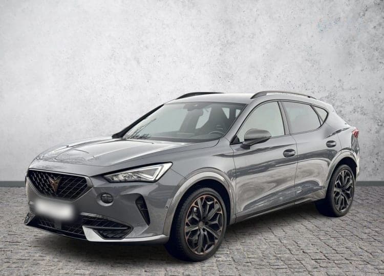 Cupra Formentor Formentor 2.0 TSI 4Drive VZ DSG