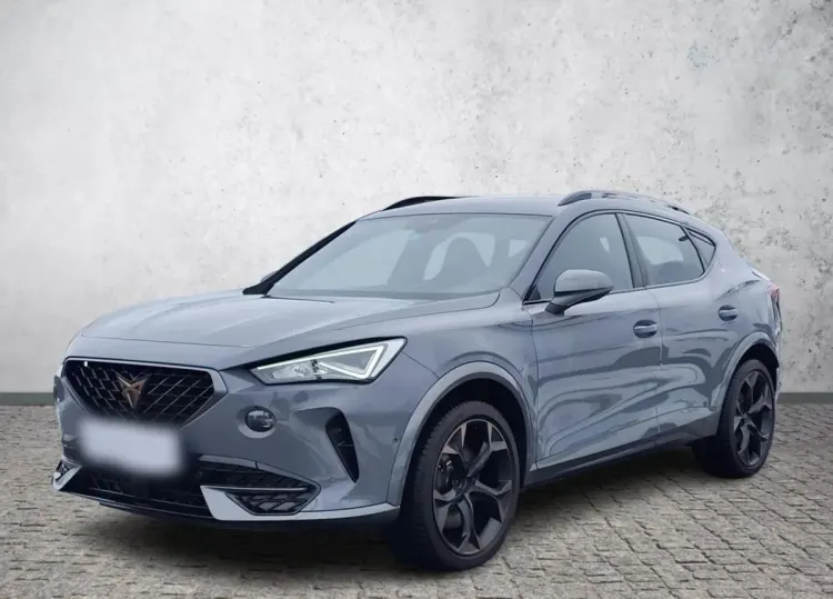 Cupra Formentor Formentor 2.0 TSI 4Drive VZ DSG