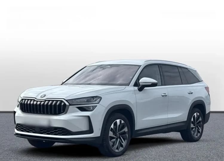 Skoda Kodiaq Kodiaq 2.0 TDI 4x4 Selection DSG