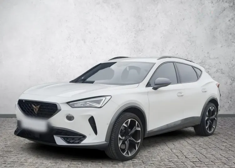 Cupra Formentor Formentor 2.0 TSI 4Drive VZ DSG