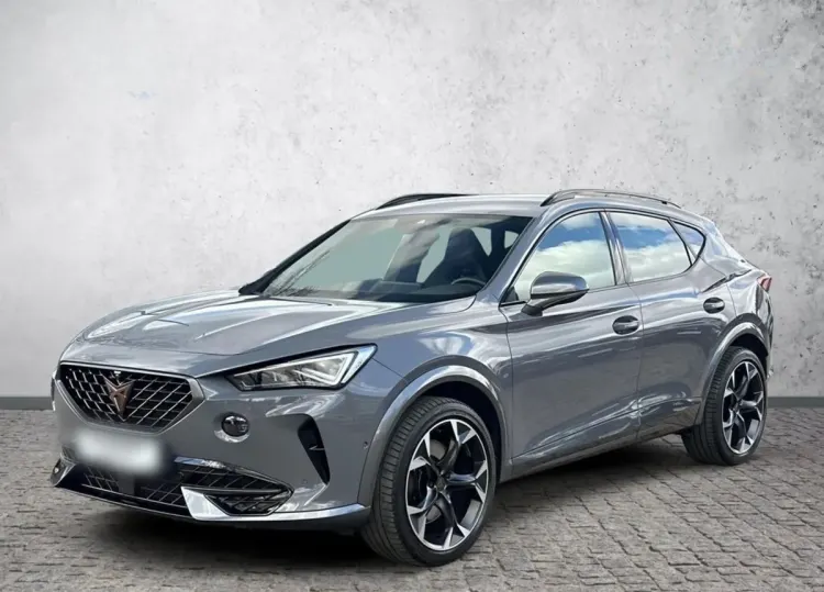 Cupra Formentor Formentor 2.0 TSI 4Drive VZ DSG