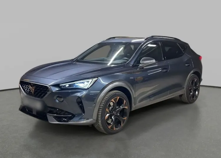 Cupra Formentor Formentor 2.0 TSI 4Drive VZ DSG