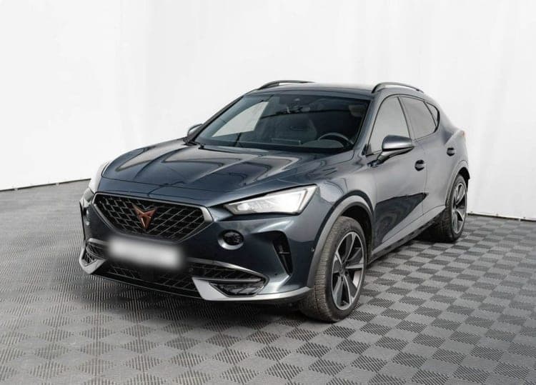 Cupra Formentor Formentor 2.0 TSI 4Drive DSG