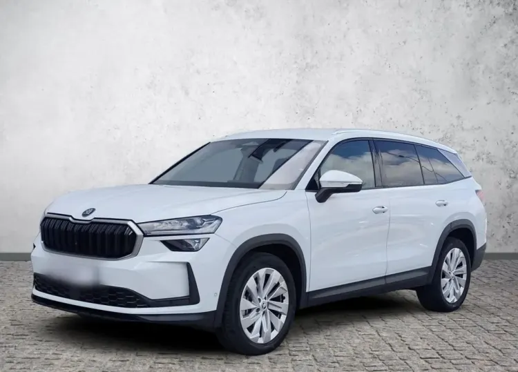 Skoda Kodiaq Kodiaq 2.0 TDI 4x4 Selection DSG