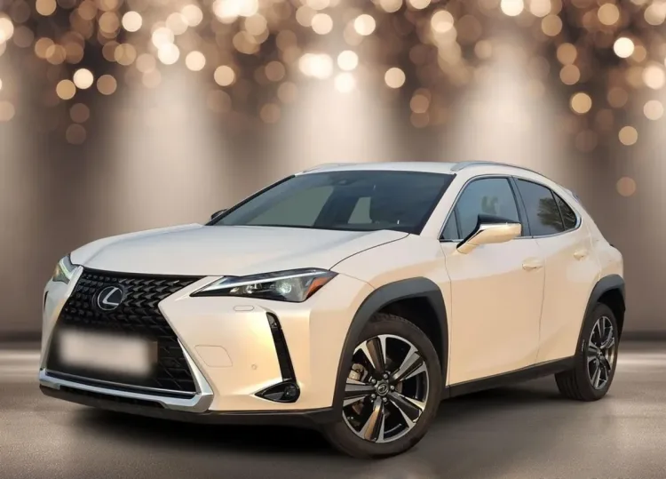 Lexus UX UX 250h GPF Business 2WD