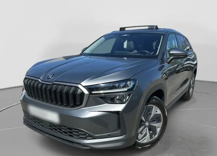 Skoda Kodiaq Kodiaq 2.0 TSI mHEV 4x2 Selection DSG