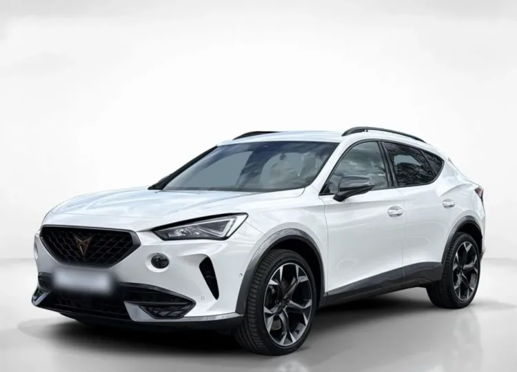 Cupra Formentor Formentor 2.0 TSI 4Drive VZ DSG