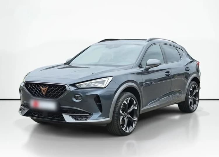 Cupra Formentor Formentor 2.0 TSI 4Drive DSG
