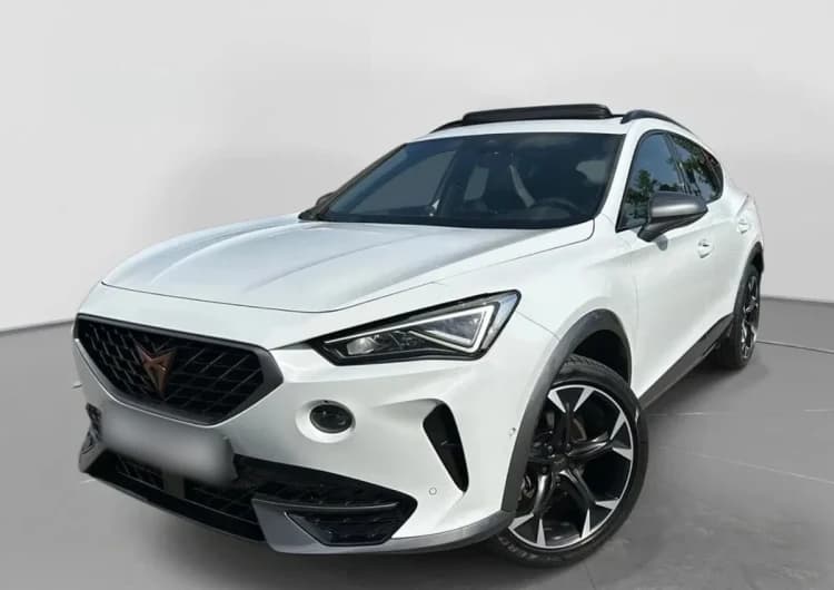 Cupra Formentor Formentor 2.0 TSI 4Drive DSG