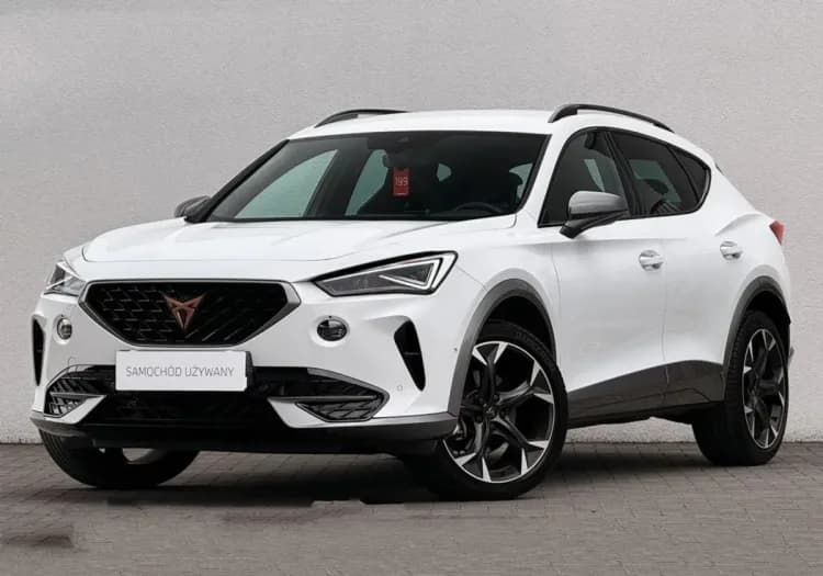 Cupra Formentor Formentor 2.0 TSI 4Drive DSG