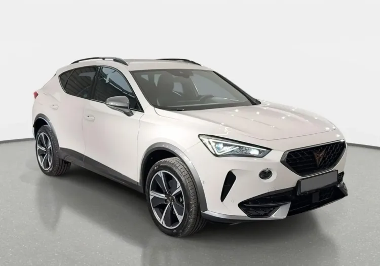 Cupra Formentor Formentor 2.0 TSI 4Drive DSG