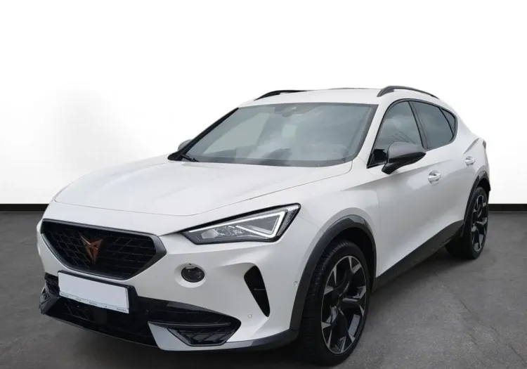Cupra Formentor Formentor 2.0 TSI 4Drive VZ DSG