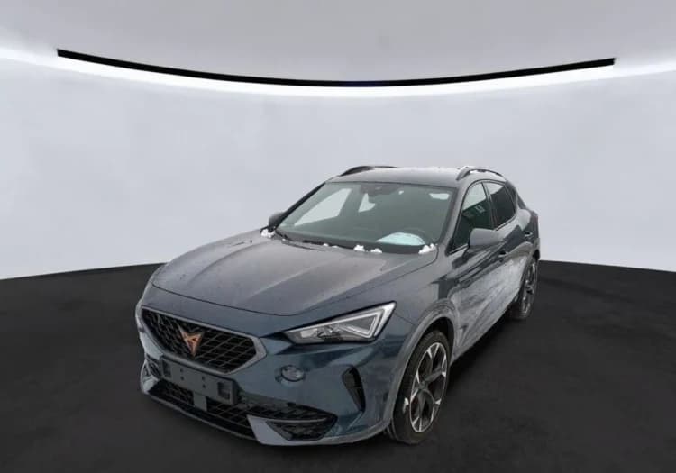 Cupra Formentor Formentor 2.0 TSI 4Drive VZ DSG