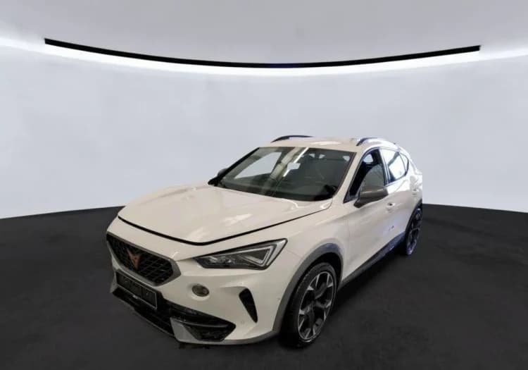 Cupra Formentor Formentor 2.0 TSI 4Drive VZ DSG