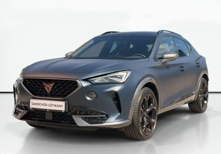 Cupra Formentor Formentor 2.0 TSI 4Drive VZ DSG