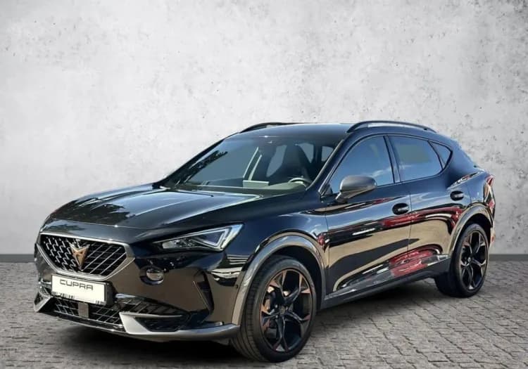 Cupra Formentor Formentor 2.0 TSI 4Drive VZ DSG