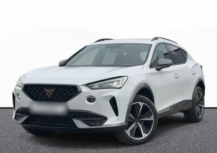 Cupra Formentor Formentor 2.0 TSI 4Drive DSG