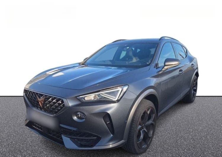 Cupra Formentor Formentor 2.0 TSI 4Drive DSG