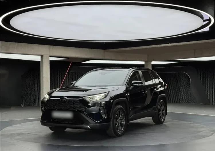 Toyota RAV4 RAV4 2.0 Comfort 4x4 MS