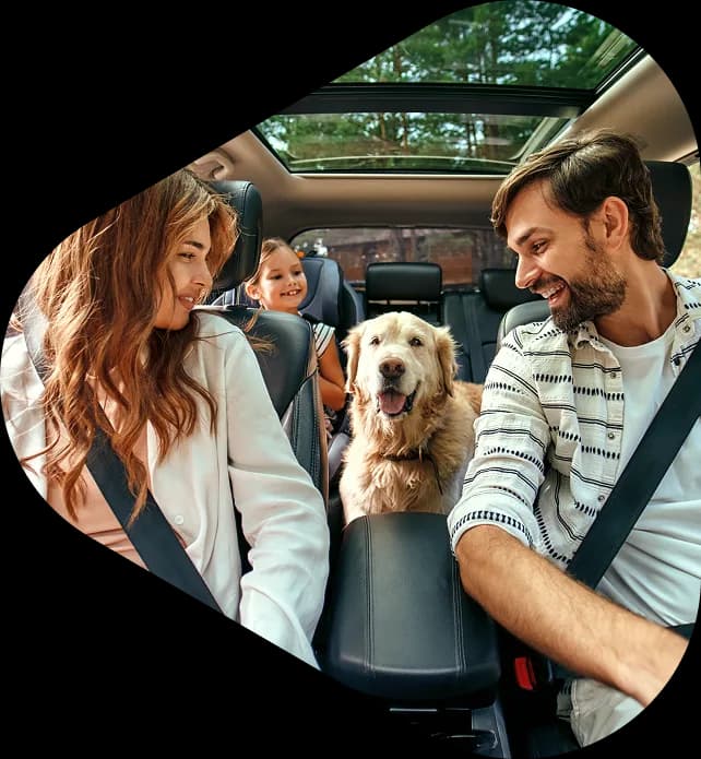 Finansowanie - Elastyczne formy finansowania