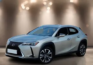 Lexus UX 250h GPF Business 2WD