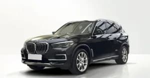 BMW X5 xDrive40i mHEV sport-aut