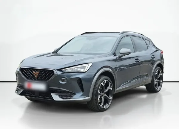Cupra Formentor 2.0 TSI 4Drive DSG