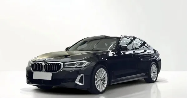 BMW Seria 5 530i xDrive mHEV Luxury Line sport-aut