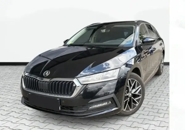 Skoda Octavia 2.0 TDI Ambition DSG 2023 - używany samochód w leasingu