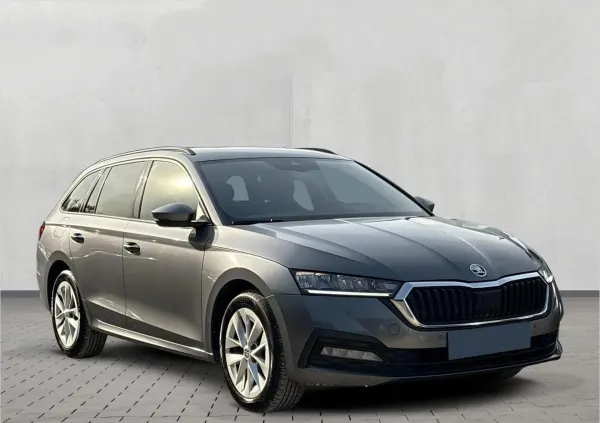 Skoda Octavia 2.0 TDI Ambition 2023 - używany samochód w leasingu