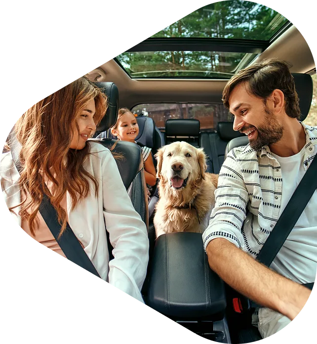 Finansowanie - Elastyczne formy finansowania